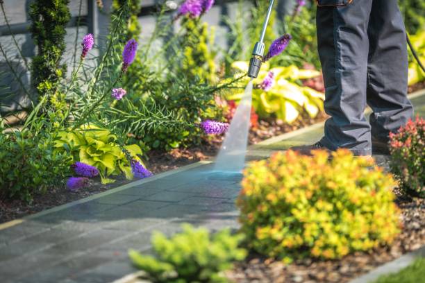 Best Winterizing Services  in Watsonville, CA
